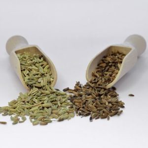 Fenchel ganz