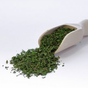 Kerbel