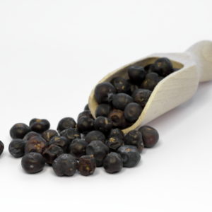 Wacholderbeeren (Riesen)